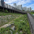 서울도봉 중랑천 아레나 데크길 조성